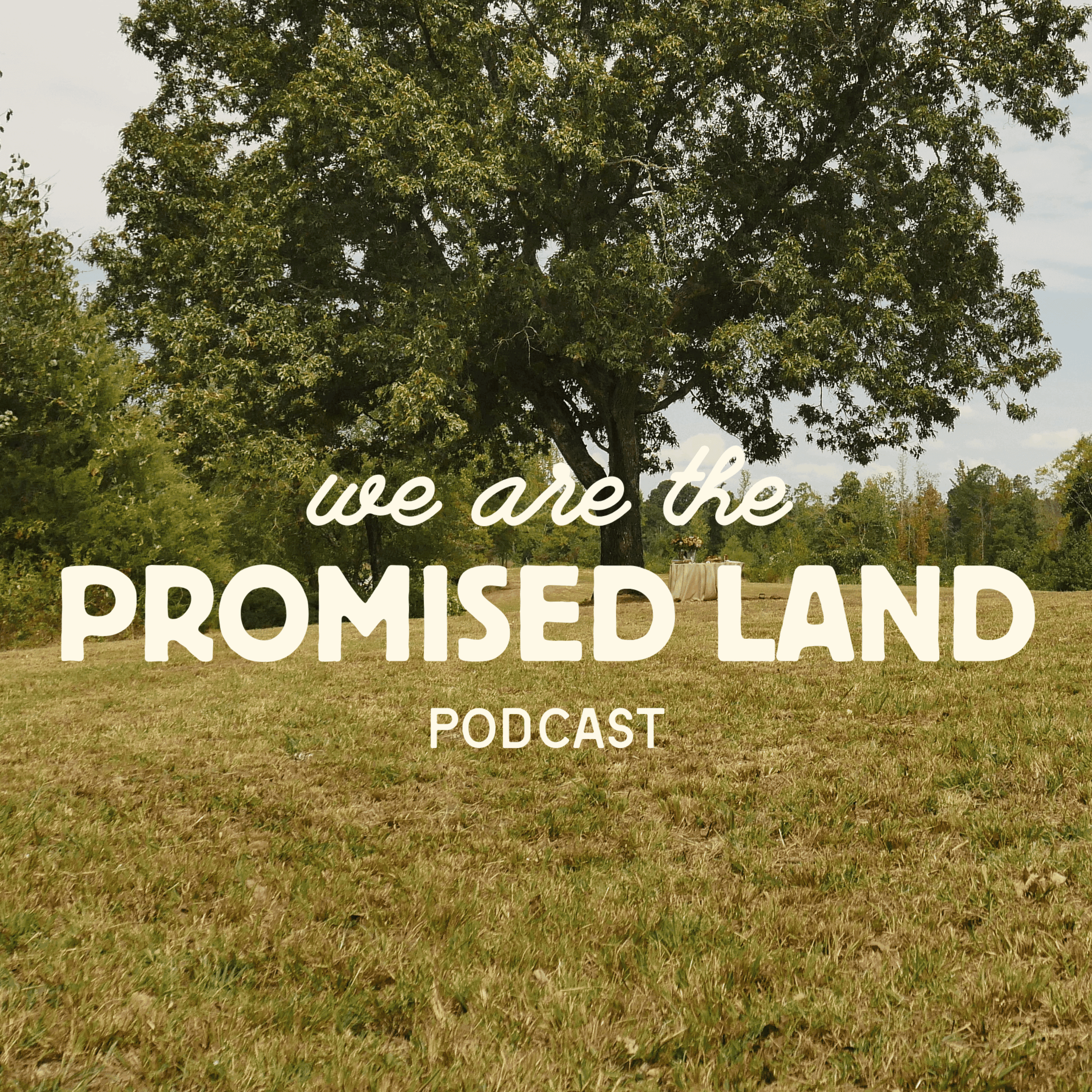 We Are the Promised Land